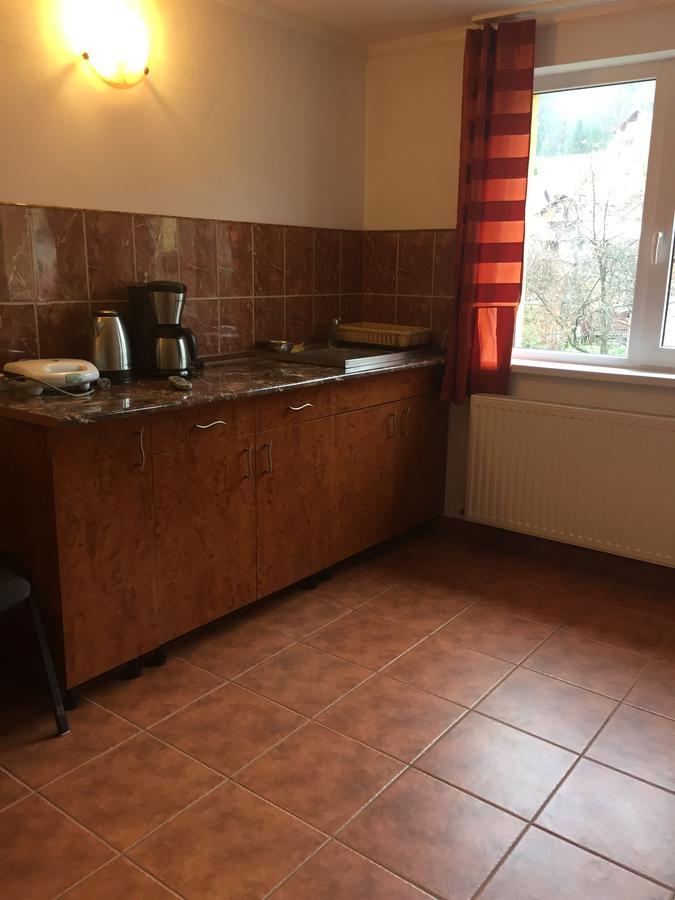 Vila Nina Hotel Azuga Buitenkant foto