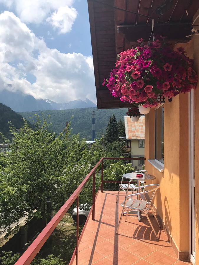 Vila Nina Hotel Azuga Buitenkant foto